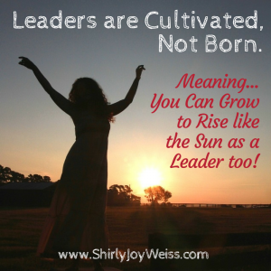 Leaders are Cultivated